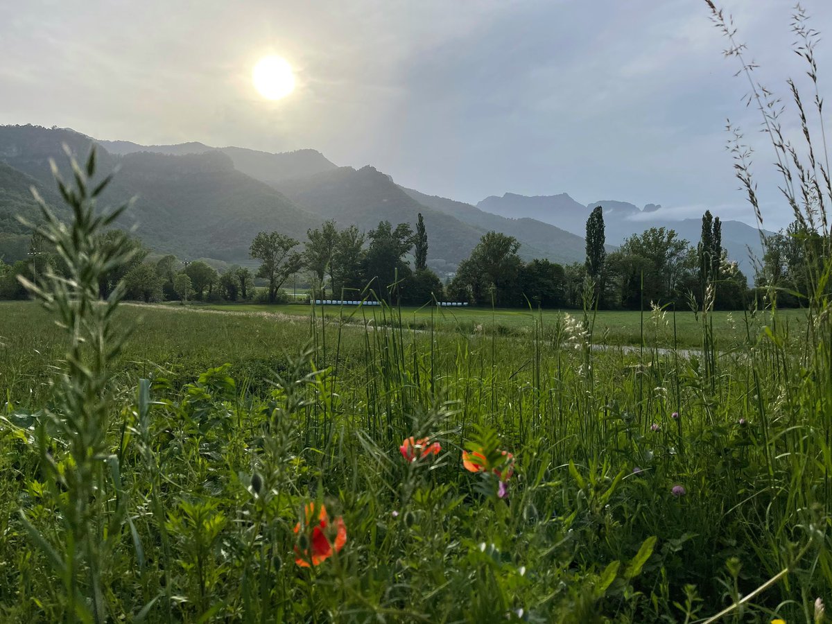 mpuixi's tweet photo. Tarda caminant per la Vall d’En Bas, coneixent nous racons i nous indrets d’aquesta vall. #ultimraigdesol #igerscatalunya #igersgirona #descobreixcatalunya #catalunyaexperience #fotografia #Puigsacalm #StaMagdalena #Falgars #garrotxaexperience #garrotxa https://t.co/Y9TpK4trL8