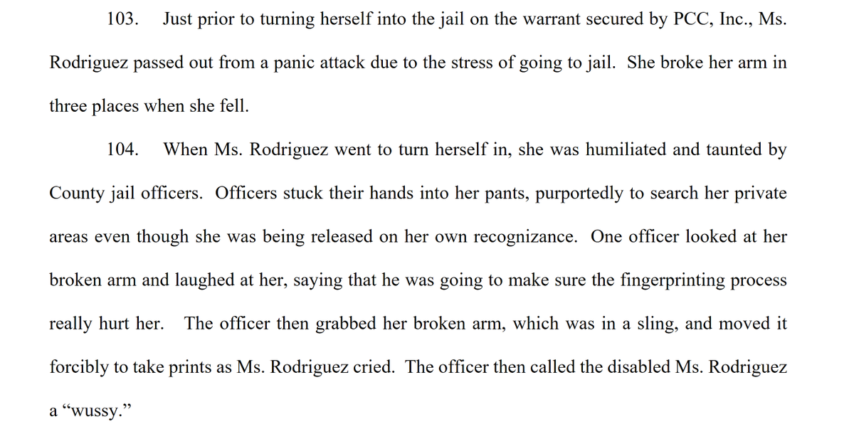 Across the U.S. the police spend much of their bloated budgets enforcing these warrants. They don't want you to know that. Here's what police did to Cindy (7)