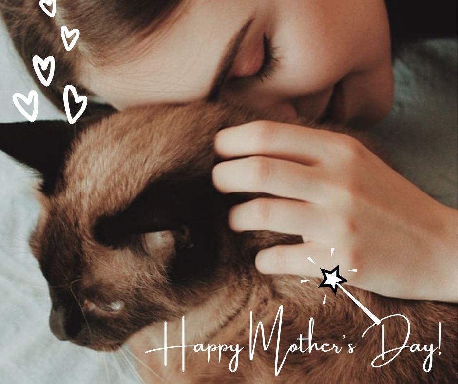 🤩Happy Mother's Day! Fur Momma, Human Momma, all Momma's..🥰  From all of us at Pawsitive Landing Project !
#happymothersday2021 
#furmoms 
#furlovers