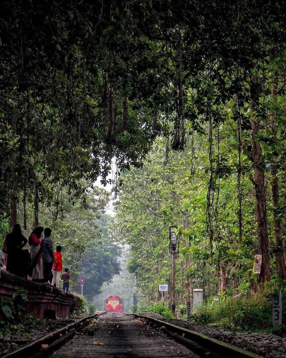 p_ansif's tweet photo. #Vallappuzha..#Kerala...Railway.. https://t.co/dHDuQb1KkW