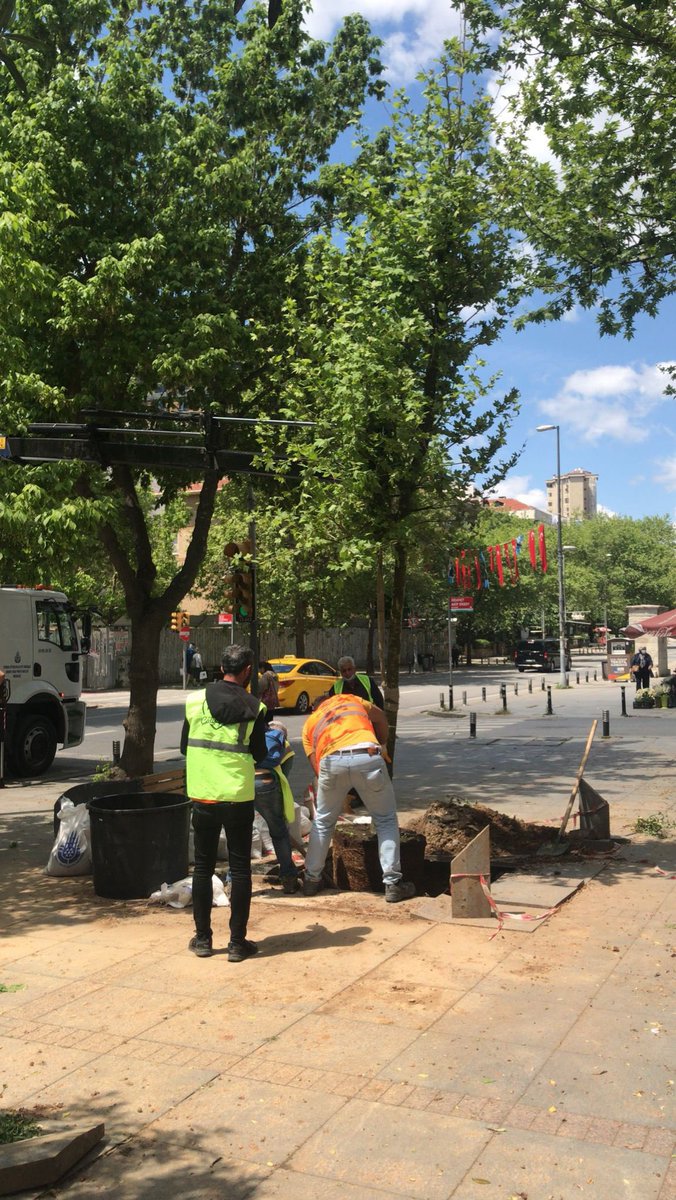 Kadıköy Bağdat Caddesi’nde yıllar önce kesilmiş bütün ağaçların yerine yenilerini diktik.🌳