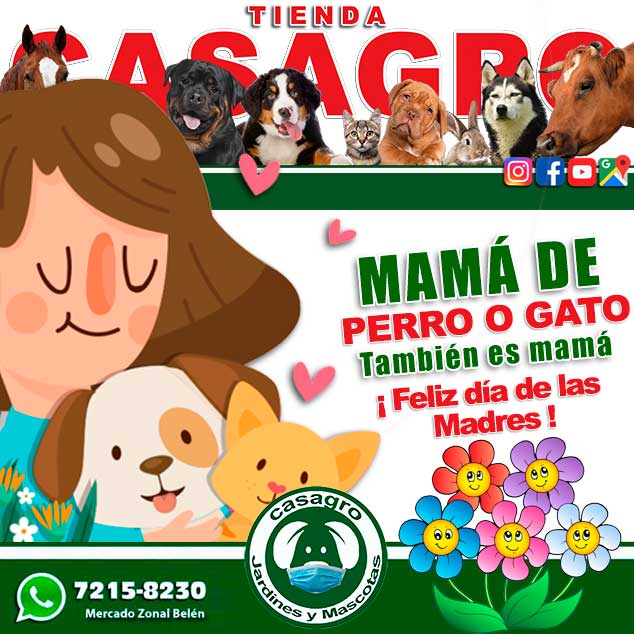 casagrohn's tweet photo. Feliz día de la madre
Hoy les atendemos en nuestra Tienda #CASAGRO en horario de (8 am) hasta las (12 del mediodía) https://t.co/ZWH6PL3Qmj