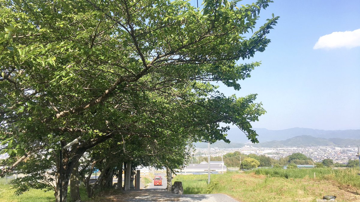 inMY_book's tweet photo. 牛を覗きに行ったら牛にめっちゃ覗かれた https://t.co/TyS0YMqyD1