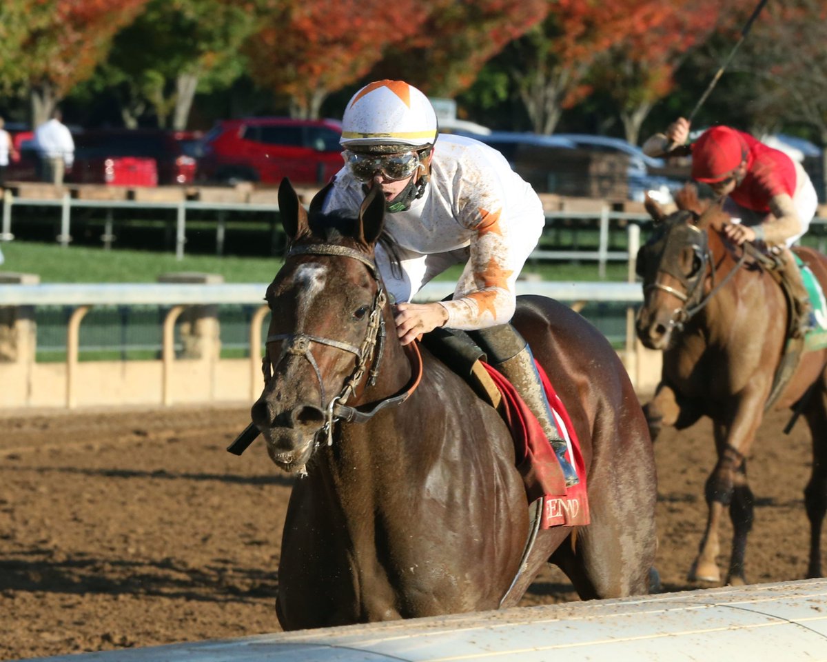 🇺🇸 RUNNER:

🏇 ETHICAL JUDGEMENT
T: <a href="/brenpwalsh/">brendan walsh</a> 
J: <a href="/Tyler_Gaff/">Tyler Gaffalione</a> 
🏁 Race 10
🗺️ <a href="/ChurchillDowns/">Churchill Downs</a>