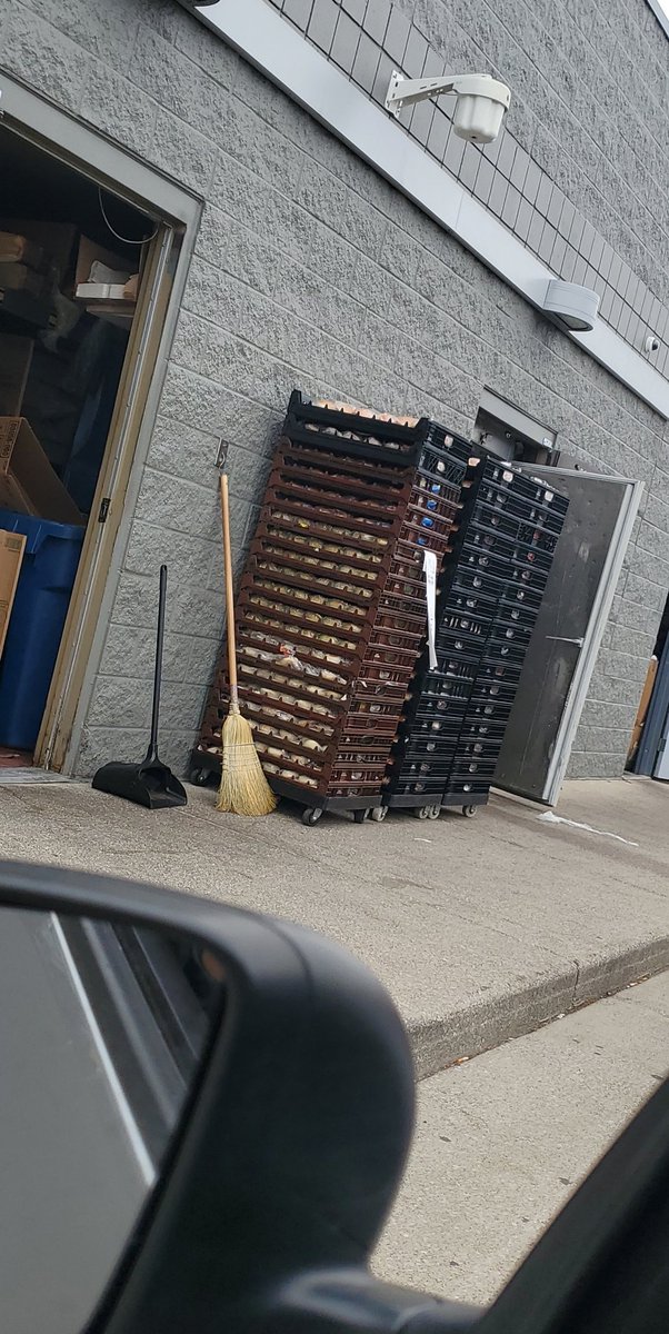 DivinelyMimi's tweet photo. @McDonalds Theres no excuse or explanation needed. I will never EVER again eat at @McDonalds. And of course, on Mothers Day, ill definitely be paying it forward and show all the moms I encounter today.. Trash 🤢🤮😵  @US_FDA @OSHA_DOL @CDCgov https://t.co/qgUY1OhMnJ