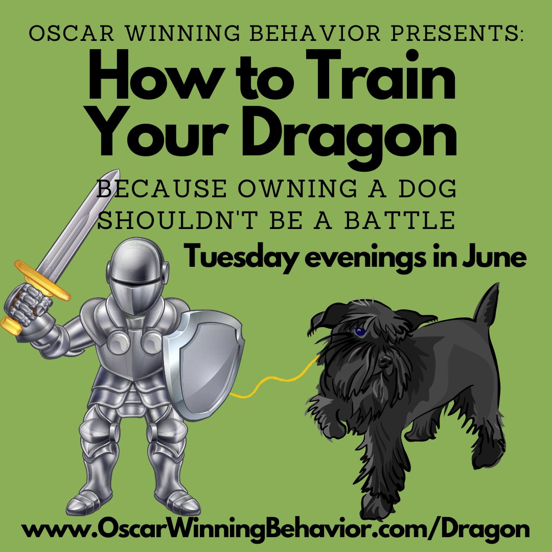 OscarWinning's tweet photo. Unless your dog chugged your Mtn Dew this morning, then it might be a wee skirmish (we're not naming names).
#quarantraining #AloneTogether #goodgirly #bestboy #onlinetraining #iaabc #catbehavior #dogbehavior #OscarWinner #behaviorthatwinsrewards https://t.co/Yb0yfBViyY