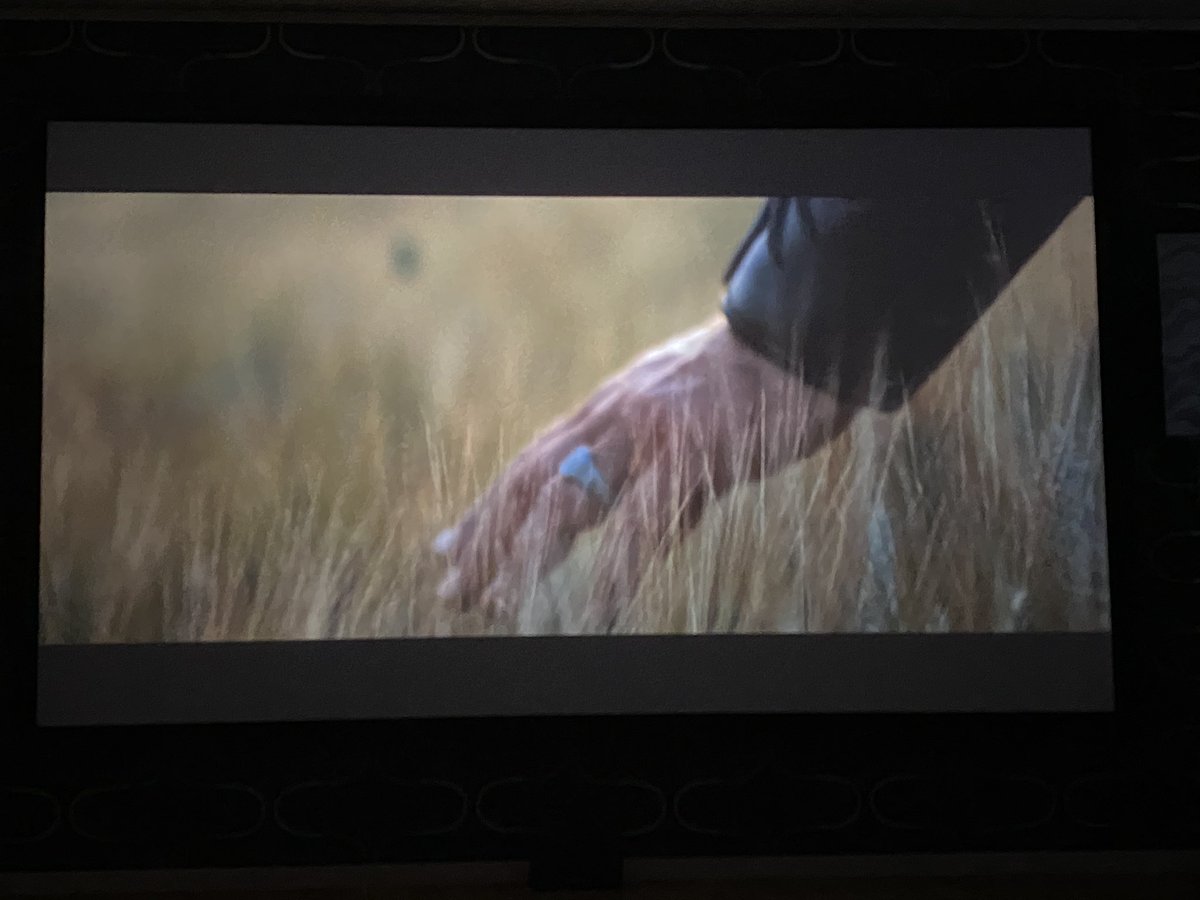 fotofreddan's tweet photo. Vi tar en film på det. #hemmabio #slappsöndag https://t.co/h6o3MemmrQ