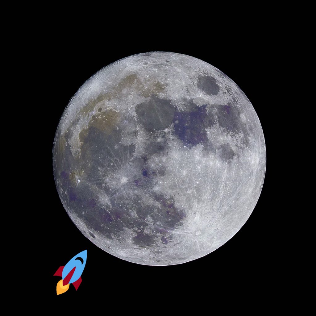 montes237's tweet photo. Still HoLding baby!! #Dogecoin #IAM237 we are a movement!!!! https://t.co/Ix5WDRG78l