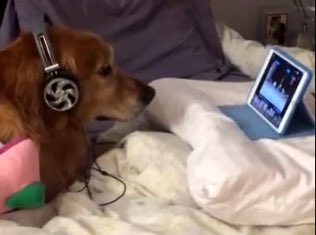 ACTION! #charmed 

Cr. <a href="/Thankful_4_U/">T4U</a>