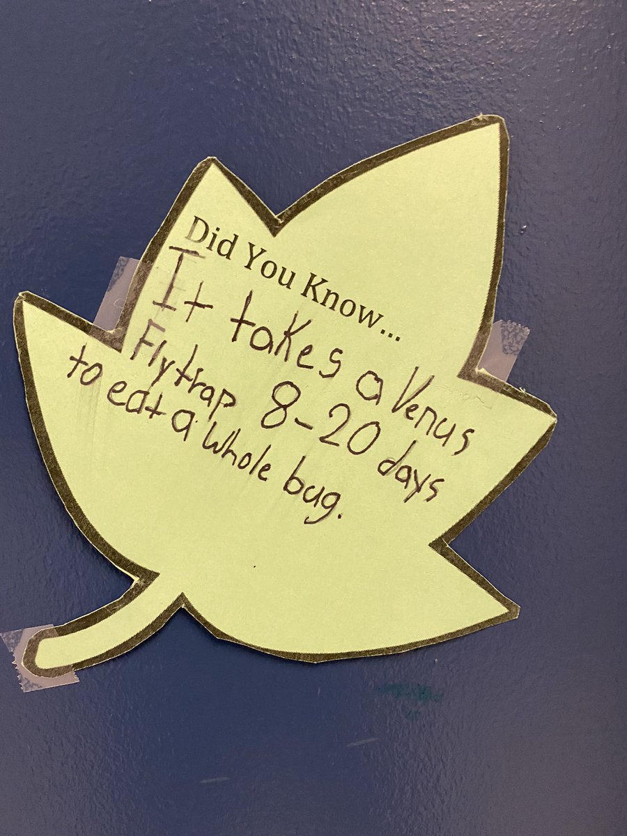 Meadows West School tweet media