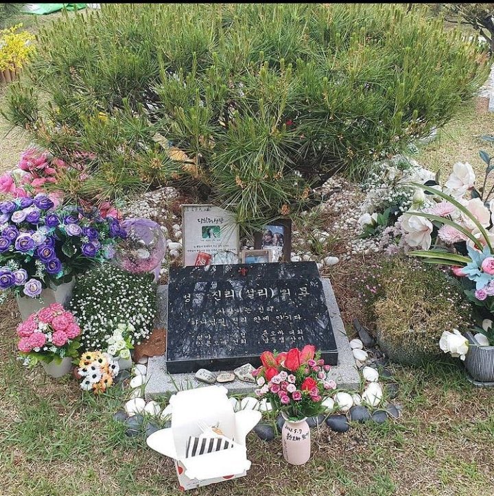 เมเนอร์เก่าของ f(x) ไปเยี่ยมซอลลี่มาค่ะ เขาซื้อเค้กโปรดมาให้น้องด้วย ตอนน้องอยู่ f(x) เขามักจะซื้อเค้กอันนี้ให้ซอลลี่อยู่เป็นประจำ