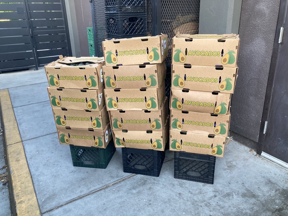 Sellands &amp; Obo go thru around 40 cases of naturally ripened Avos a week from our friends at Williamson Farms in San Diego......like fast food tomatoes most if not all avos u buy r gassed to ripen faster.
U can find them at Sunday market now at Arden behind Sears🤙🥑❤️