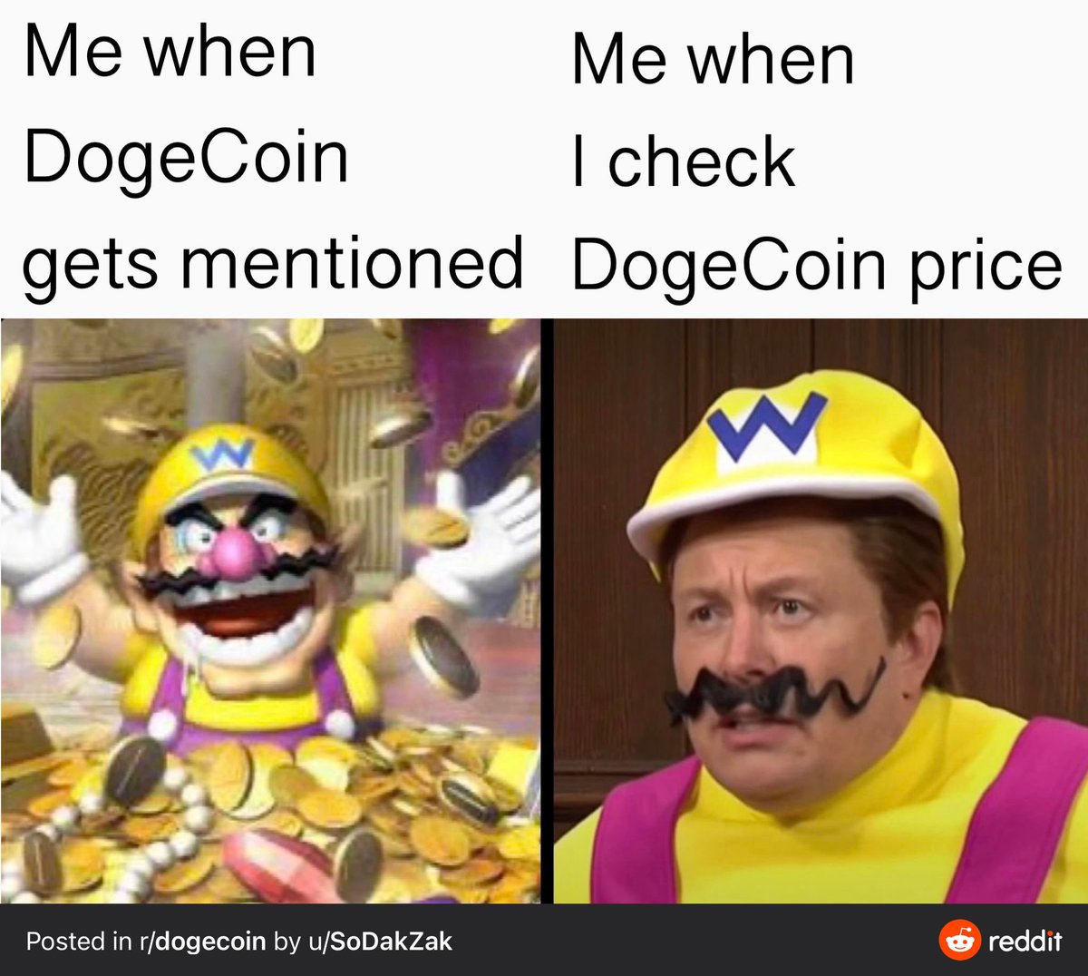 askaya's tweet photo. 😂it’s funny because it’s true #dogecoin https://t.co/LhNPx2ox41