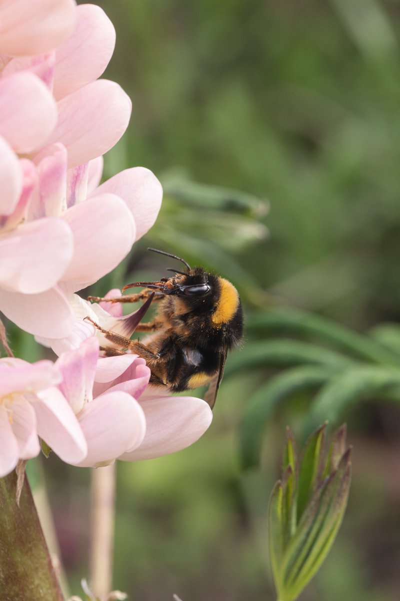 Chema Muñoz Rosa tweet media