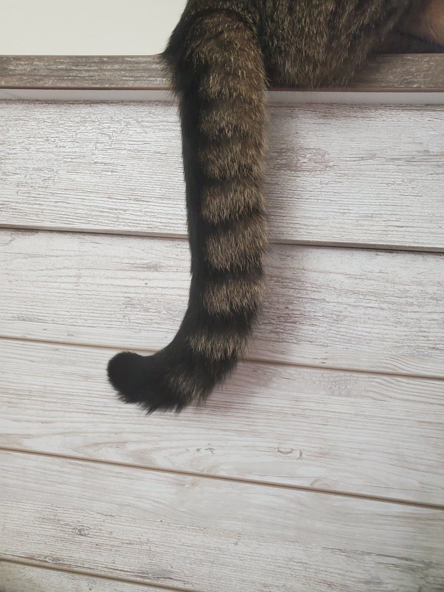 , imb Have , something , to saye :

J