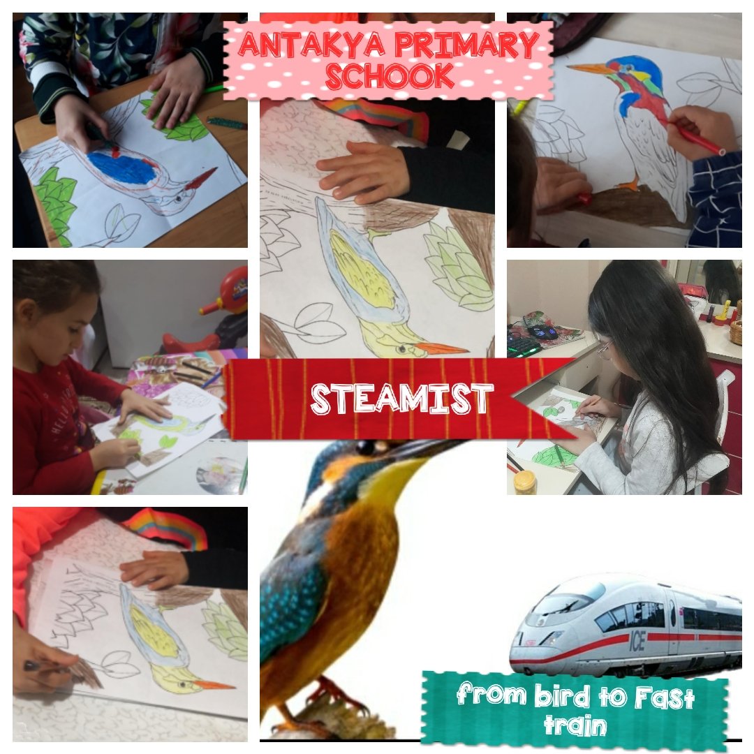 STEAMIST2's tweet photo. Activity 3:From bird to fast train
Fast train designing with tinkercad https://t.co/aOAxPQfXS0