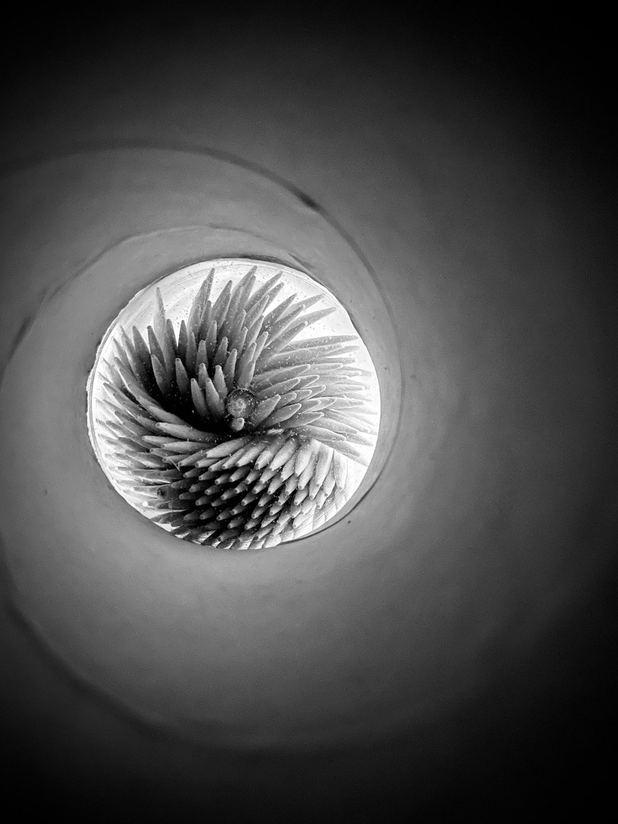 Abhishek Ghosal tweet media