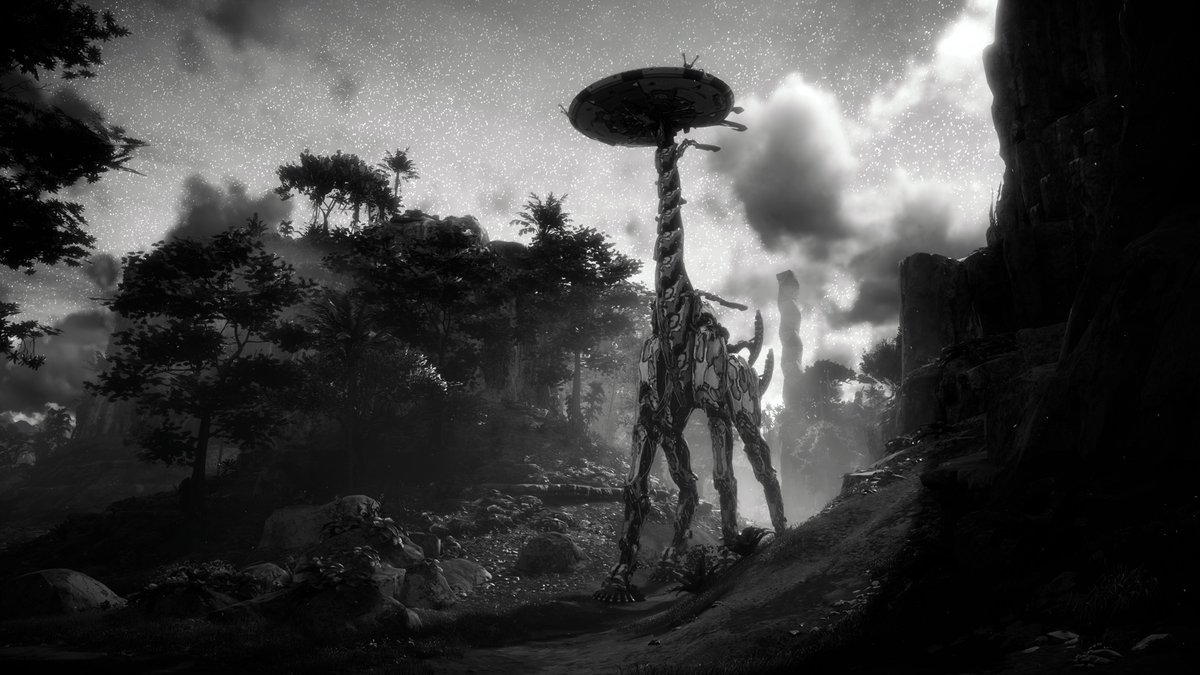 • Posting a few of my favourite B&amp;W captures from the archives as i haven't captured anything new for a while.

#HorizonZeroDawn #GhostOfTsushima