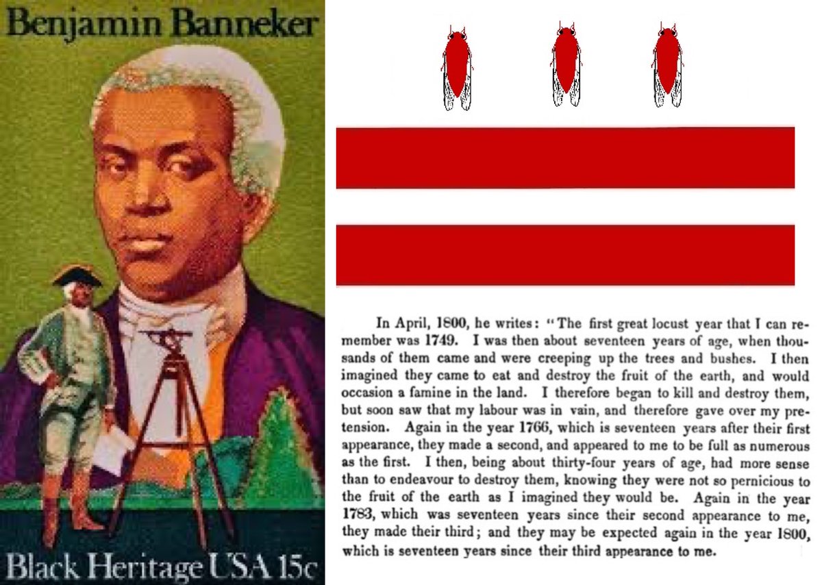 Badass polymath genius Benjamin Banneker started tracking 17-year cicadas…in 1749!

(And of course he also helped *literally* put DC on the map)
