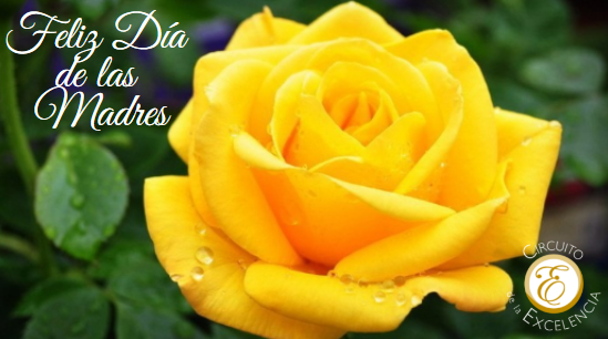 EN SU DÍA.
Deseamos FELIZ DÍA, a todas las mujeres que se han convertido en dadoras de vida y que, con su amor, se dedican a cuidar y educar a otros seres humanos.
¡FELIZ DÍA DE LAS MADRES!.
circuitodelaexcelencia.com