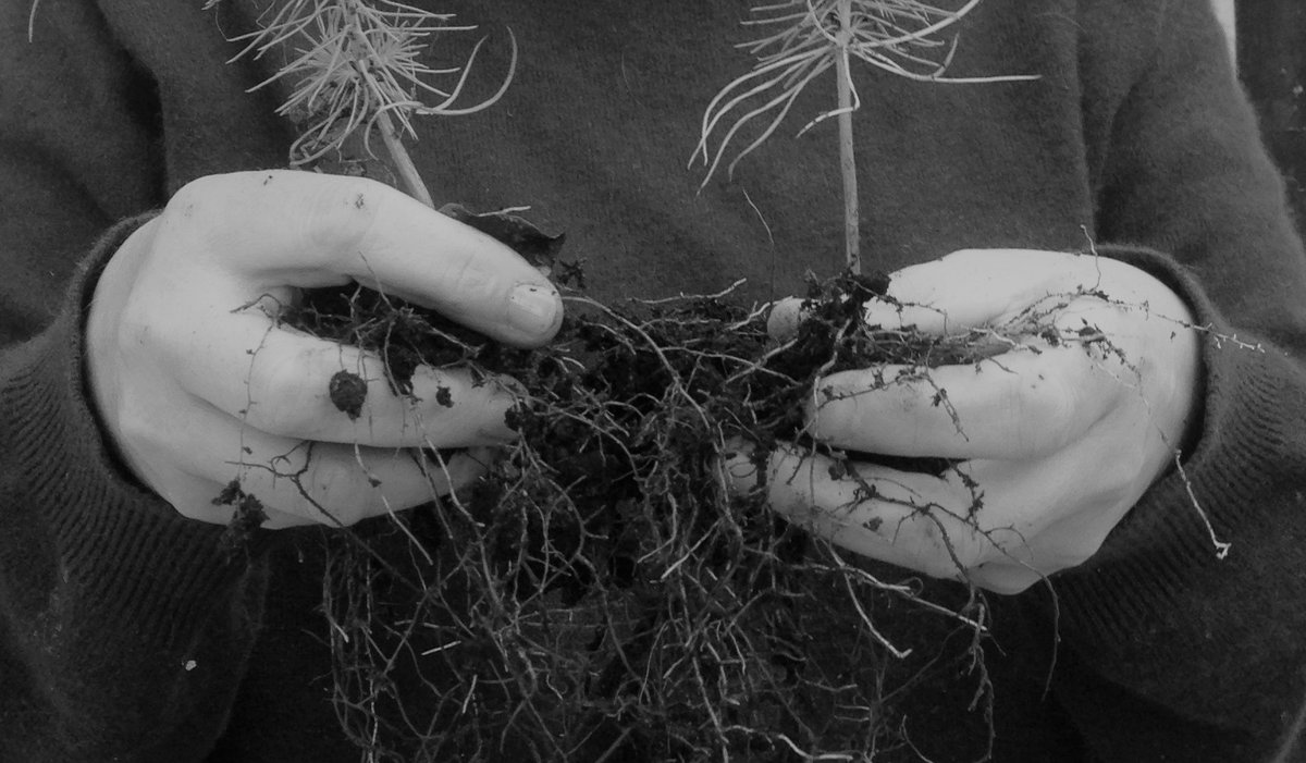 CovArtspace's tweet photo. WALKING FOREST - OPEN CALL FOR PARTICIPANTS!

A wonderful opportunity for those who identify as women as part of the @Coventry2021 Programme of events.

Find out more...

https://t.co/ALAeEX1Awi https://t.co/0Lc9mIOIaO