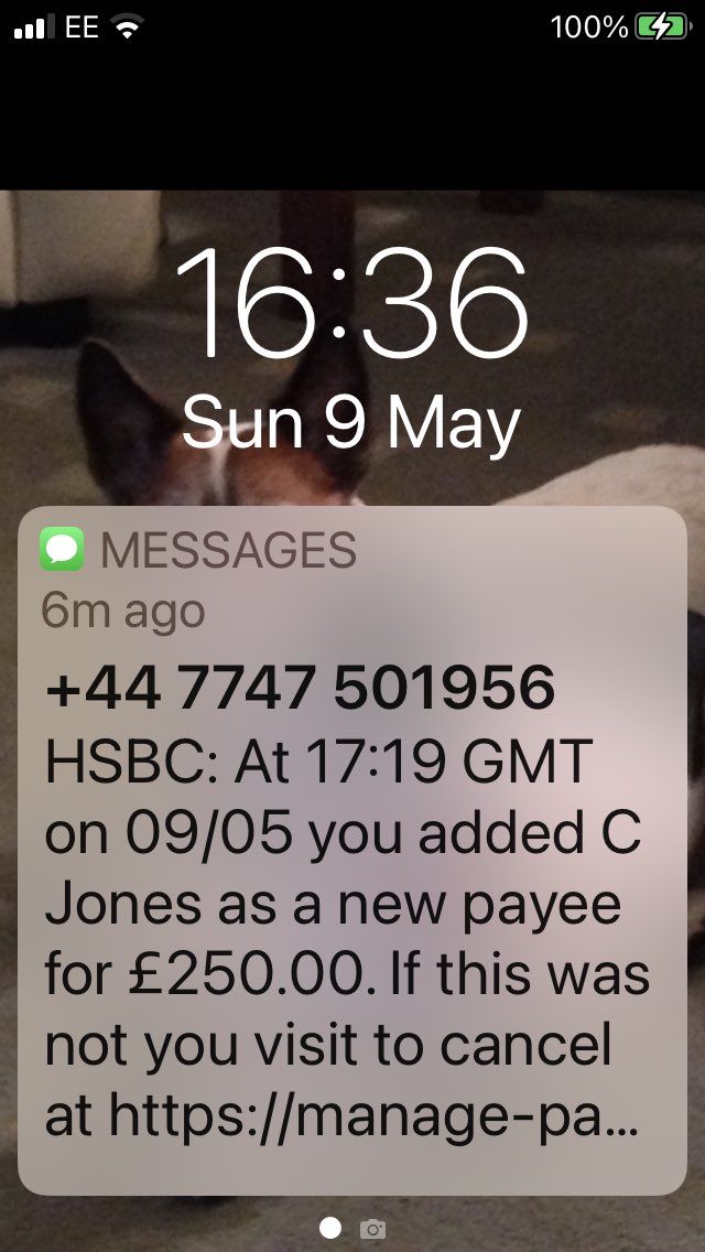 JulieBlvsJD's tweet photo. ⁦@EE⁩    SCAM message sent to me https://t.co/AhIDmQ5ltJ