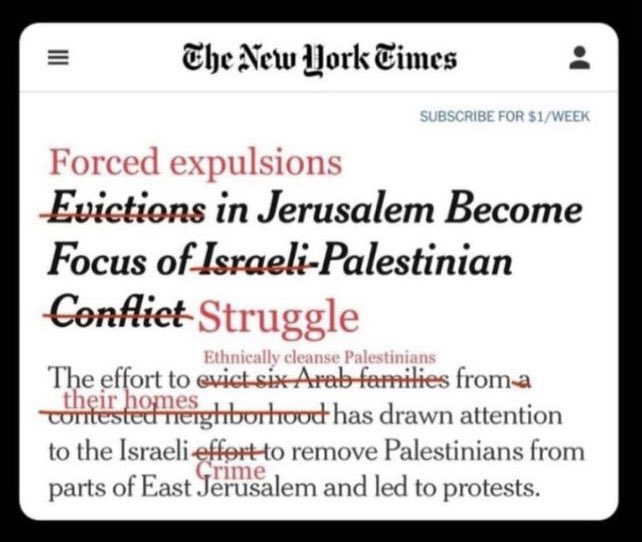 rawank97🇵🇸 tweet media