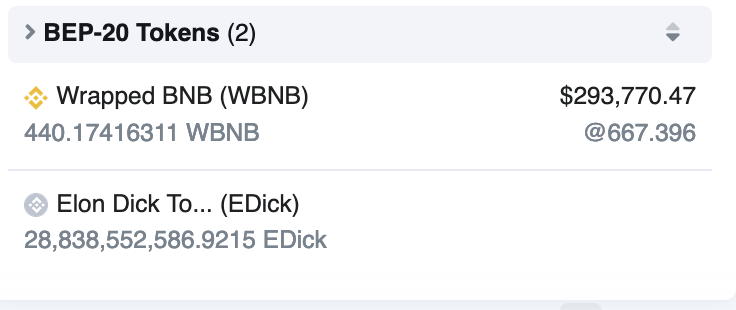 ElonDickCoin's tweet photo. wow! over 400 bnb in our @PancakeSwap LP , so cooool https://t.co/TUOrleVDTK