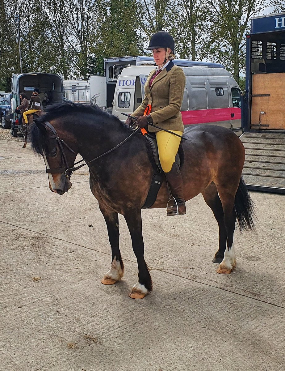 melaneyjayne's tweet photo. First ever ridden showing class for Gwen today came away with 5th 👌 
 #youngster #horselover #horsehour #horsechathour #ponyhour https://t.co/WEKX4nazwk