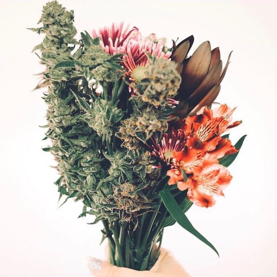 cksoul_'s tweet photo. Moms, this bouquet is for you! 💐 https://t.co/KcCX2NCLqC