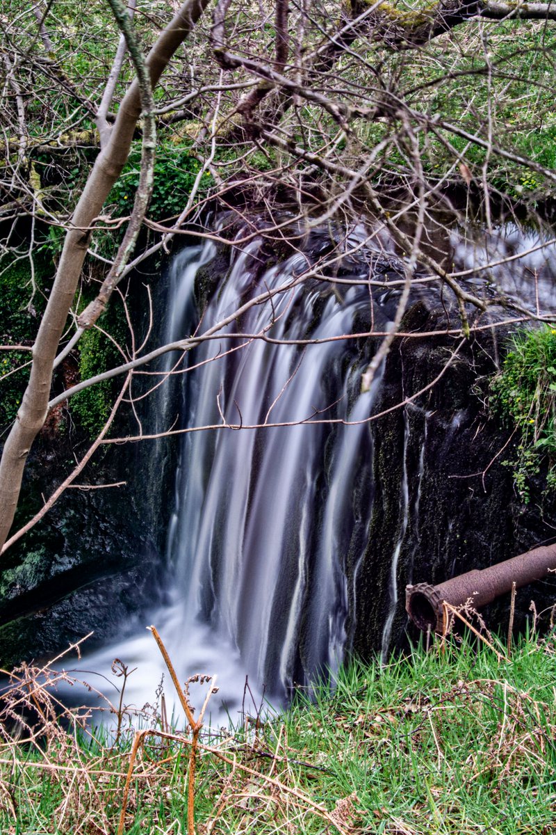 gazzab's tweet photo. The results of todays walk above Rothbury in addition to exploring the First World War Trenches dug into the peat https://t.co/qzsSja5sdc