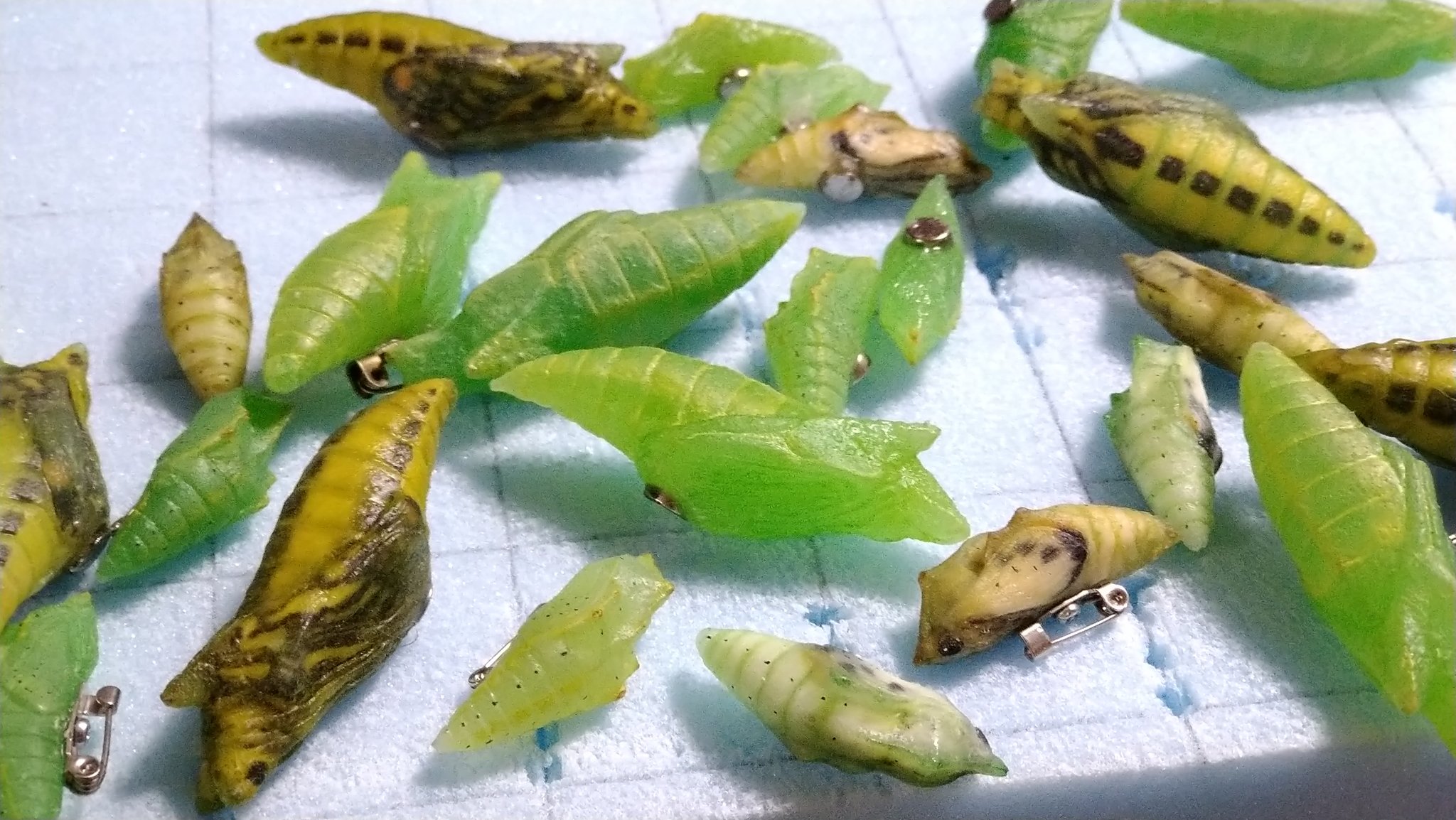 アーリオ工房 吉田ひでお 結構前から作っていた蛹シリーズもヒグマ爪のウレタンクリヤー仕上げと一緒に仕上げしちゃおうと塗装 先ずはモンシロチョウとアゲハ 共に0 蛹 羽化直前タイプ ピンタイプ マグネットタイプに モンシロチョウ アゲハ