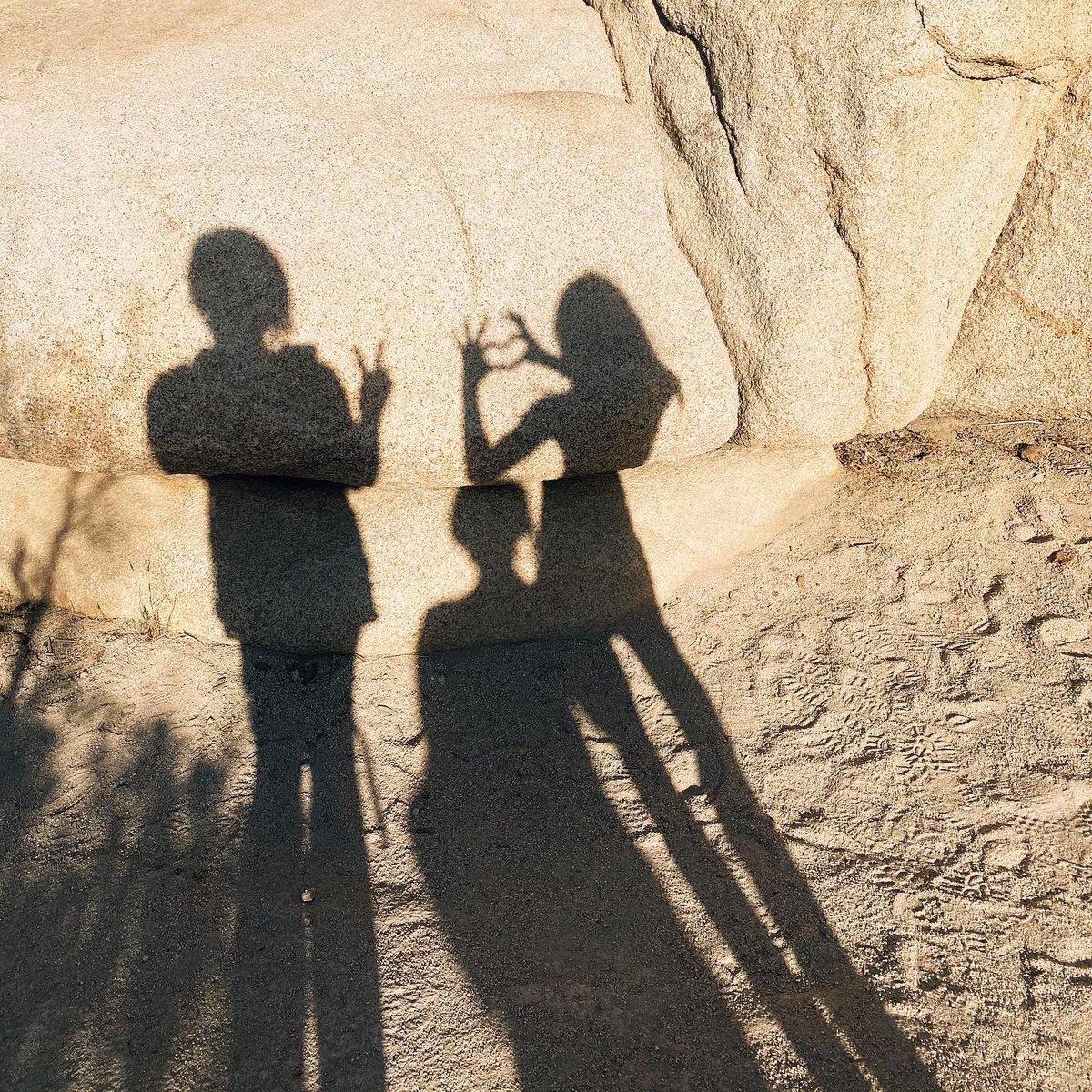 It was never my dream to become a mother. As a daughter of immigrants the type of motherhood I witness was one of martyrdom and a constant struggle of survival. I remember being a young girl witnessing my mother always…

📸 instagram.com/p/COqGtX4LULr/ via tweet.photo