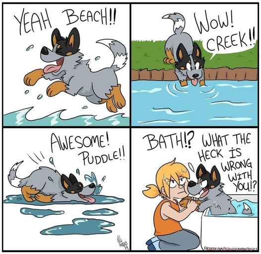 Williamof Kent (@williamofk) on Twitter photo 