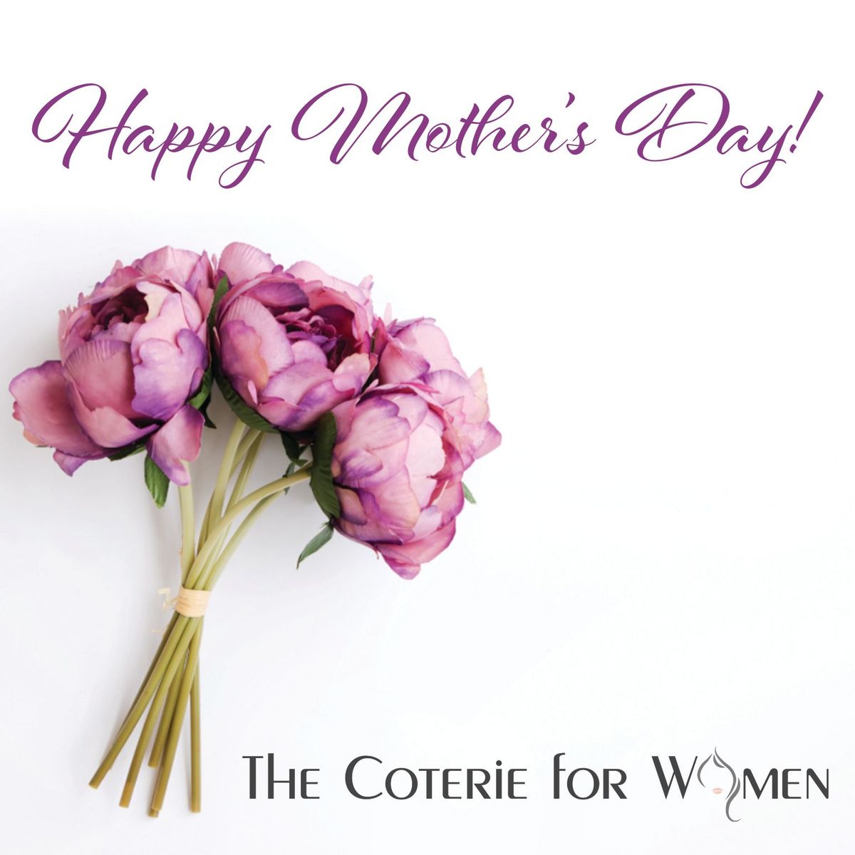 The Franchise Woman tweet media