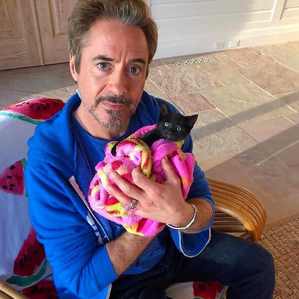 awwww, Happy Special #MothersDay to @RobertDowneyJr #❤️BlackCats