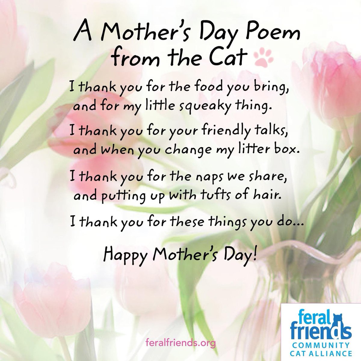 🌿🌷🌿🐈🌿
Happy Mother's Day to all human and fur moms from all of us at Feral Friends Community Cat Alliance.
🌿🌷🌿🐈🌿

🐈 Donations for our mama kitties &amp; their babies are welcome at feralfriends.org.

❤🐈❤ The Cats &amp; Kittens "Thank You!" ❤🐈❤