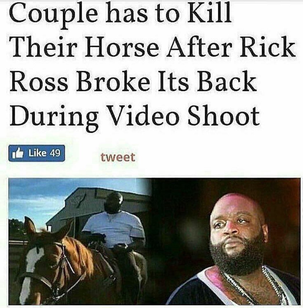 𝟓𝟓𝟓 tweet media