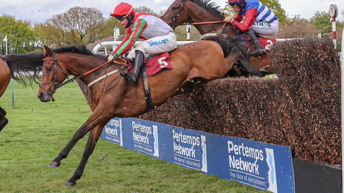 The very consistent Francky Du Berlais winning again yesterday at <a href="/haydockraces/">Haydock Park Races</a>