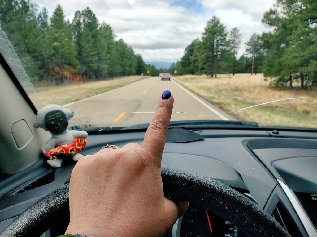 I'm not sure if this is a thing anywhere else, but where I'm from you throw up your hand or a single finger at oncoming cars as a greeting. I sincerely hope they don't think I'm flipping them the bird.