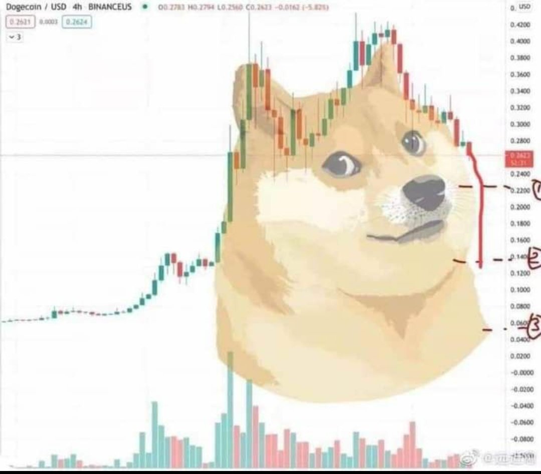 patonet's tweet photo. Acaso no vieron la señal de $DOGE? 
 
https://t.co/43mkFOiZMy