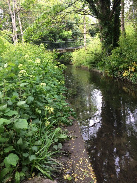 Sarah Bonasegale tweet media