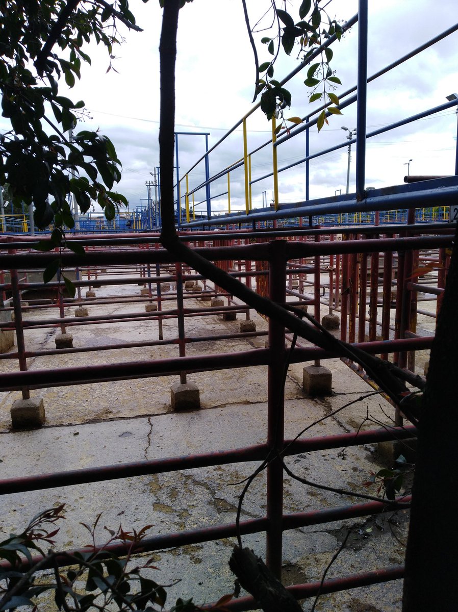 germanpp78's tweet photo. No hay ni vaquitas en el #FrigoríficoSanMartín #bogota
🐄🐄🐄🐄🐄 https://t.co/3RnTTa7Ff5