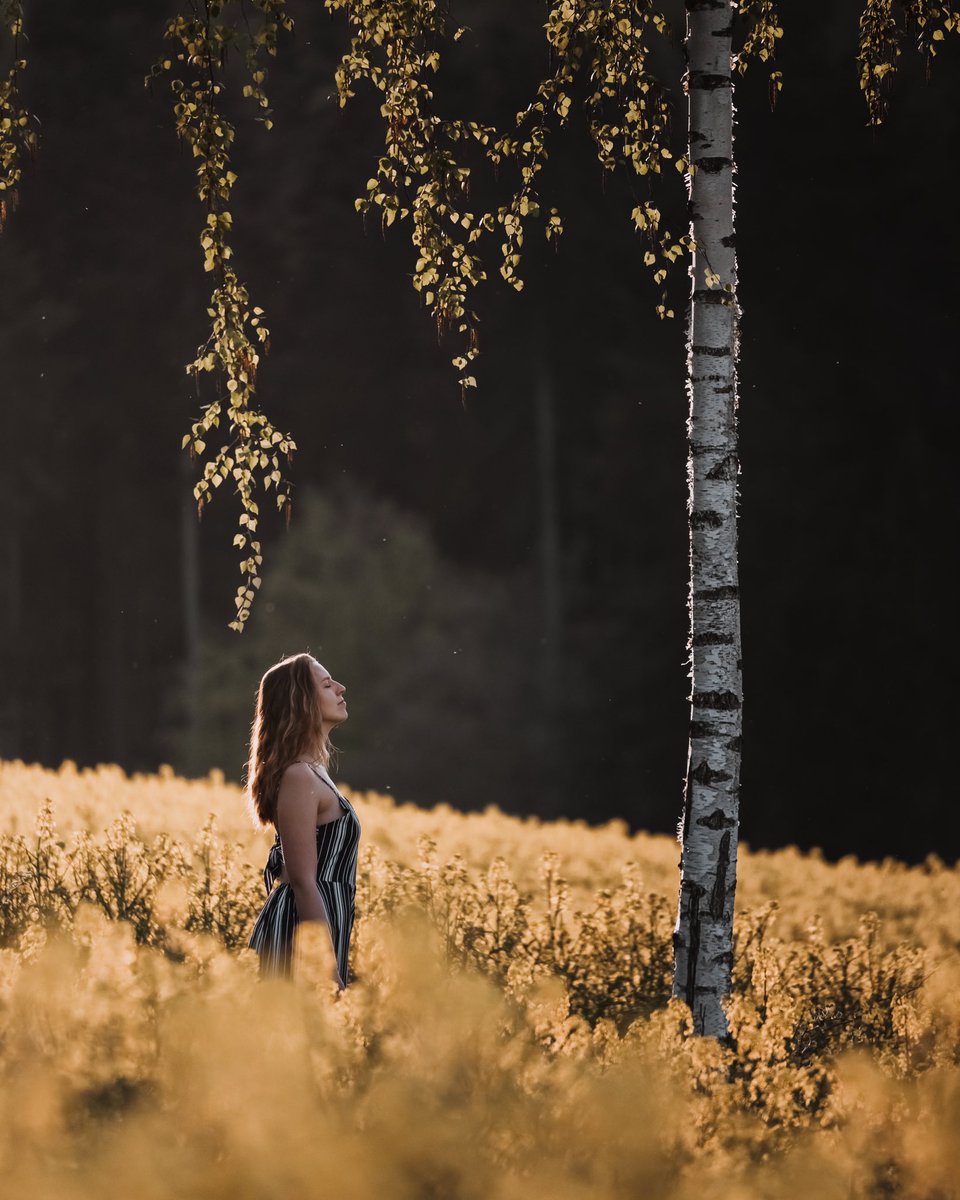 michellevonkalb's tweet photo. My NFT friends, where are you all from? 🌍

I’m from Germany &amp; here are some images ☺️🌙 feel free to share images from your country as well https://t.co/Jopo4xwB9i