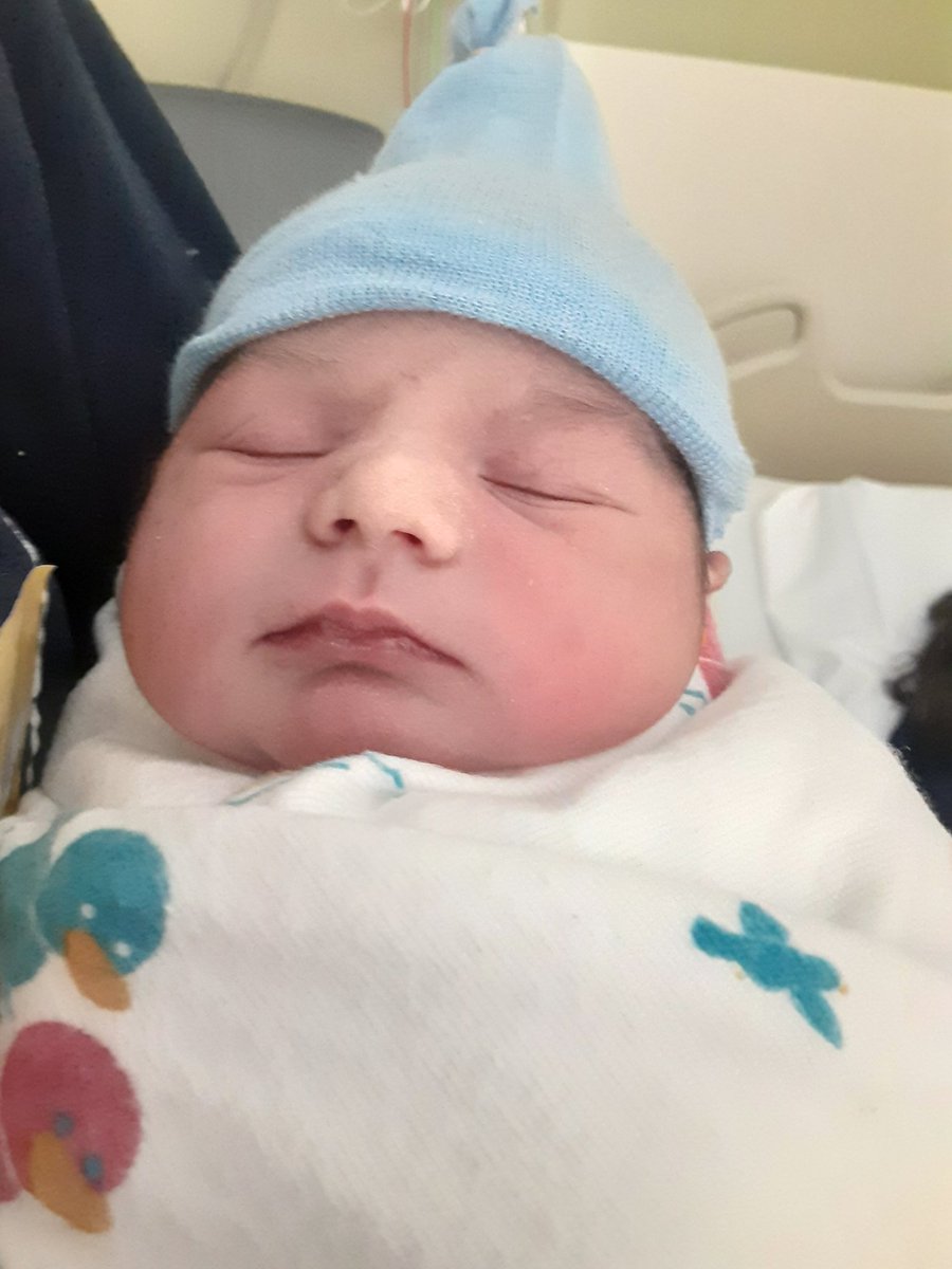 gfitzhd6236's tweet photo. The newest addition to our family. https://t.co/V9ttZVyJt0