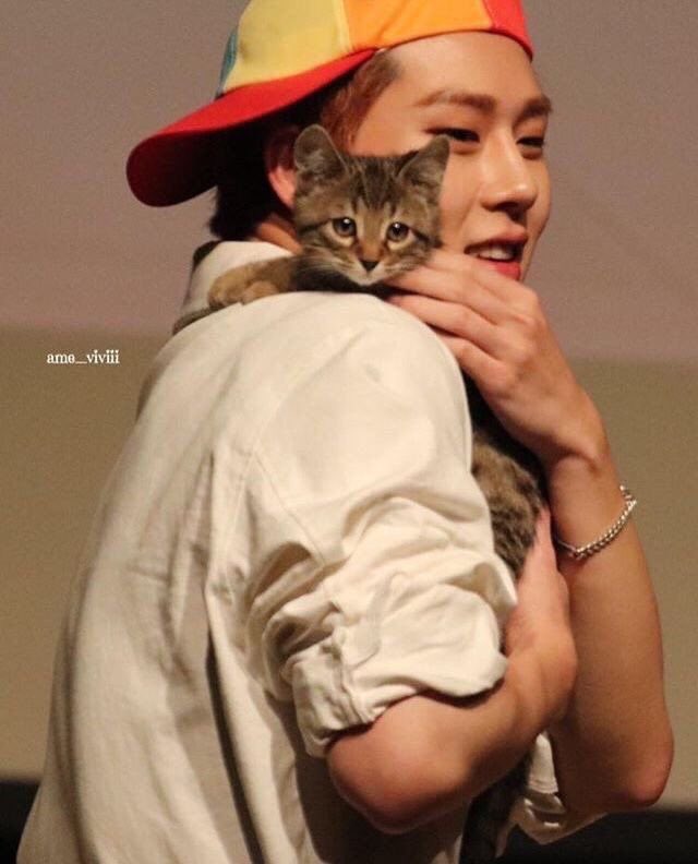 detjooheon's tweet photo. 🐱

#주헌 #JOOHONEY https://t.co/Y99nPdYEc1