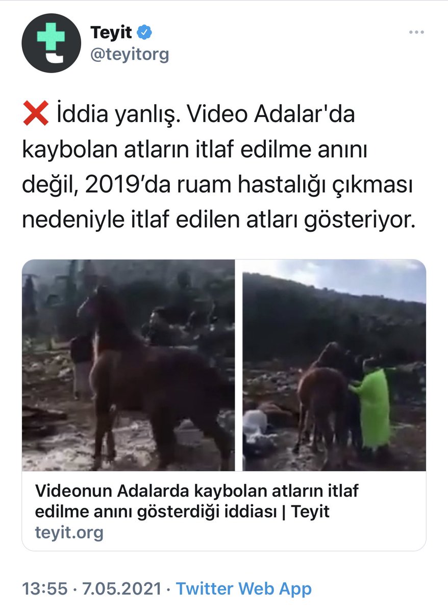 Mrt_Ongunnn's tweet photo. Kamuoyu Duyurusu: 

İBB’nin sahiplendiği ve bakımını yaptığı atlarla ilgili iddiaların sahte, A Haber, uydurma, Sabah Gazetesi, iftira olduğu açıkça kanıtlanmıştır. 

İnanmayınız https://t.co/umcVESRHI3
