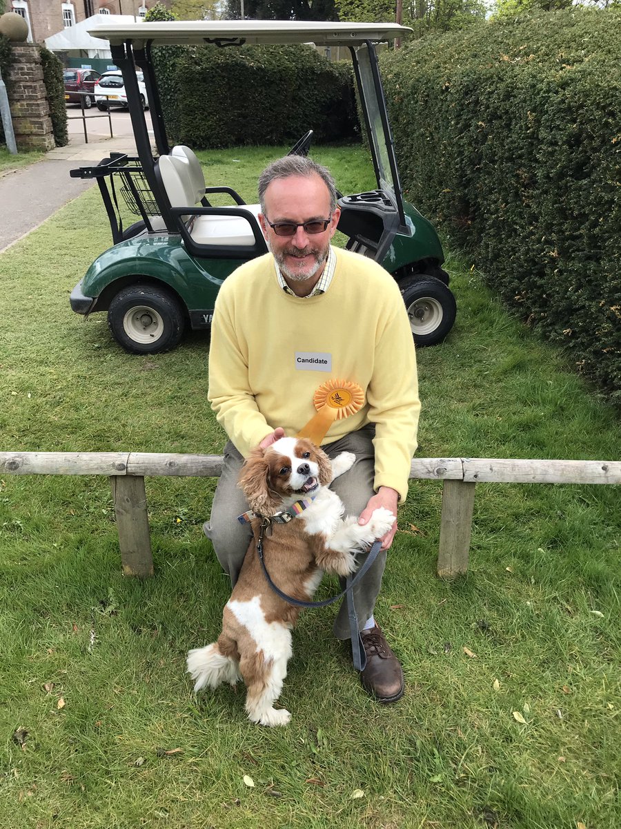 PatchFran's tweet image. Poppy is super happy that all her dog walks delivering leaflets paid off! @dogsofsald @mark_pedroz