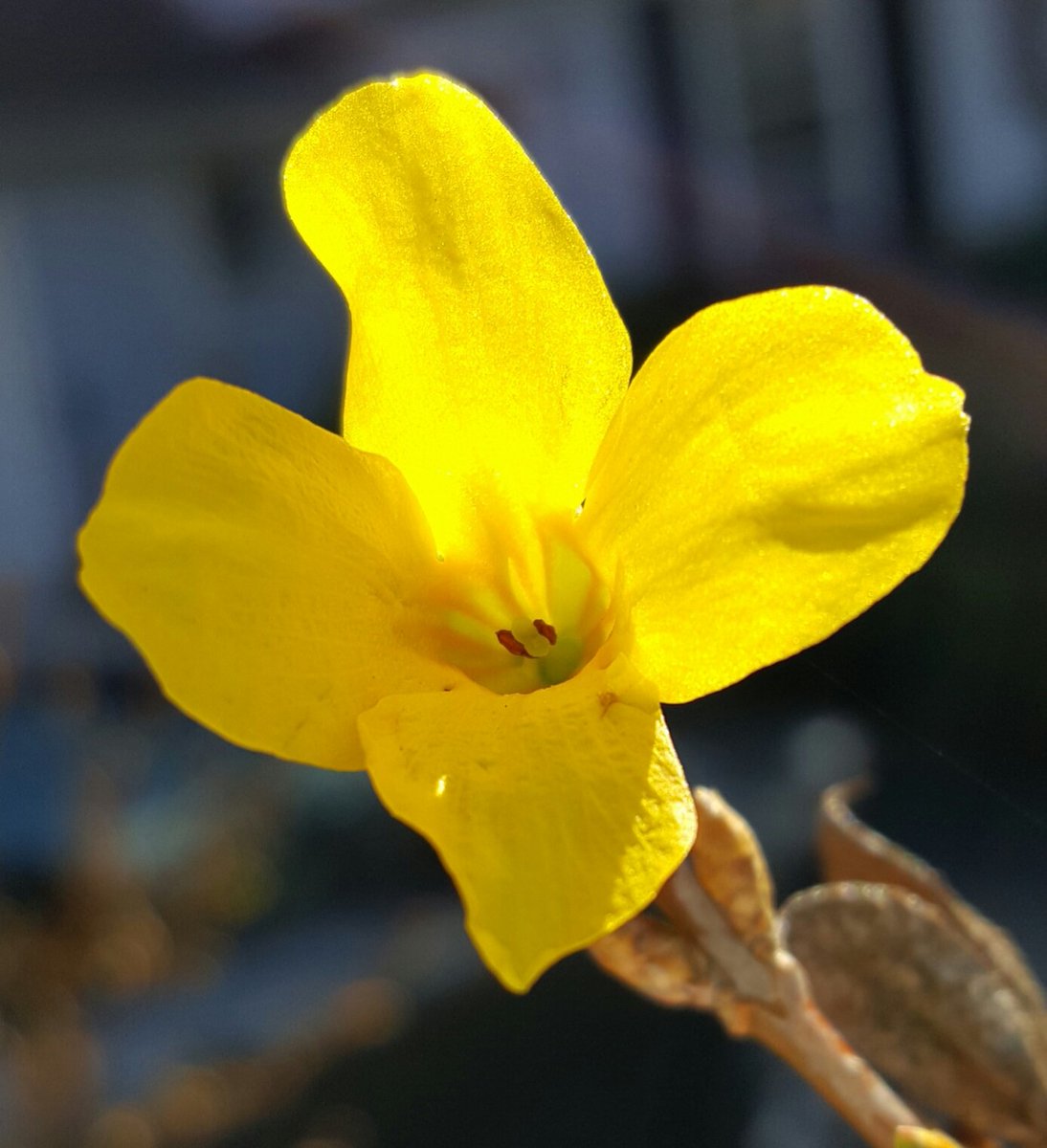 “Every mother is like Moses. She does not enter the promised land. She prepares a world she will not see.” Saint Paul VI.
With gratitude, love, respect for the power, strength, compassion you model: "Happy Mother's Day to all our PVI moms."