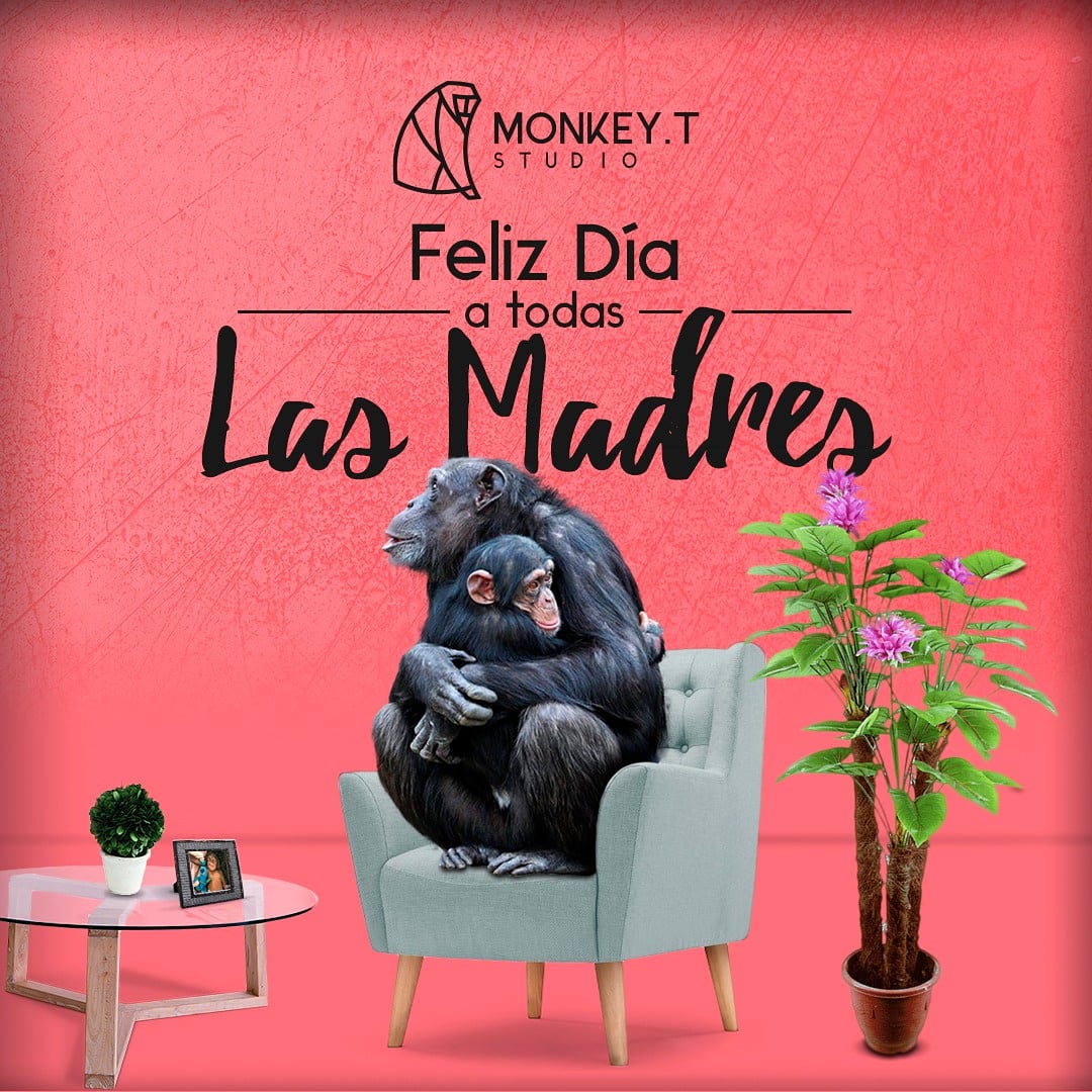 MonkeyTStudio's tweet photo. GRACIAS ! 🌹por darnos la vida y su amor incondicional día a día #FelizDiaDeLasMadres! 💕

#MonkeyTStudio #socialmedia #marketingdigital #redessociales #ecommerce #publicidaddigital #guayaquil https://t.co/9WYd21QN06